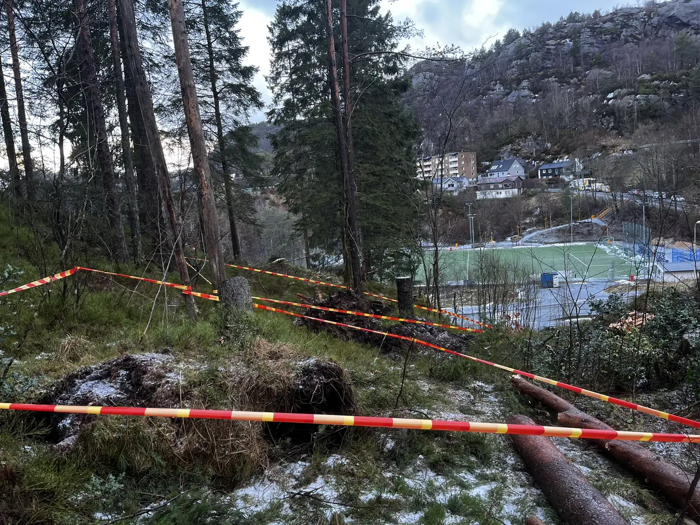 Felte trær i skråning, området sikret med sperrebånd